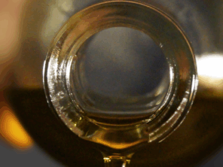 Top 10 benefits of black seed oil (nigella sativa) that we know of so far!