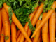 Carotenoids weight loss