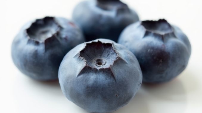 Blueberries weight loss