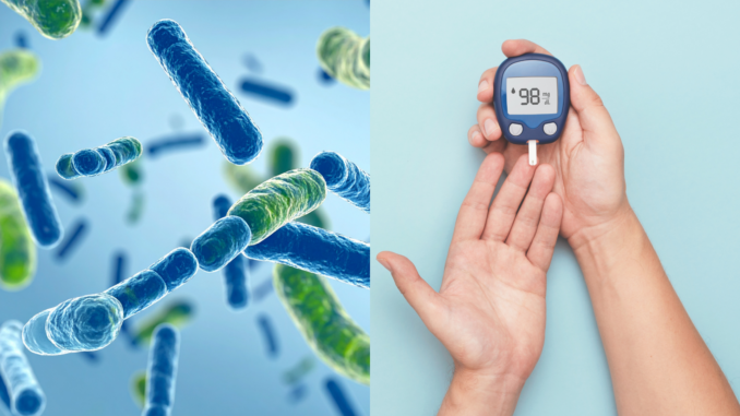 Can probiotics help reverse insulin resistance