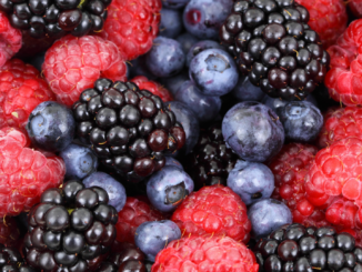 Top 11 health benefits of anthocyanins
